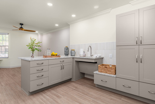 Carroll Memory Support Neighborhood